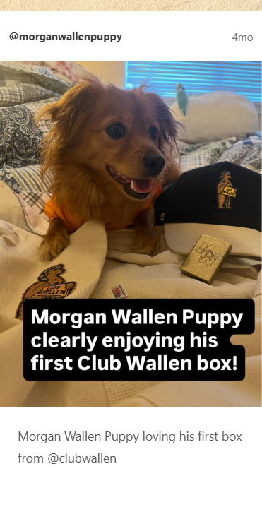 Club Wallen member post shared 4mo